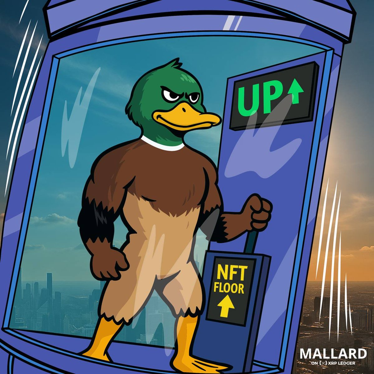 MallardXRP's tweet image. As @JoelKatz would say flip the switch, quack… you’re just not bullish enough 🦆🟣
