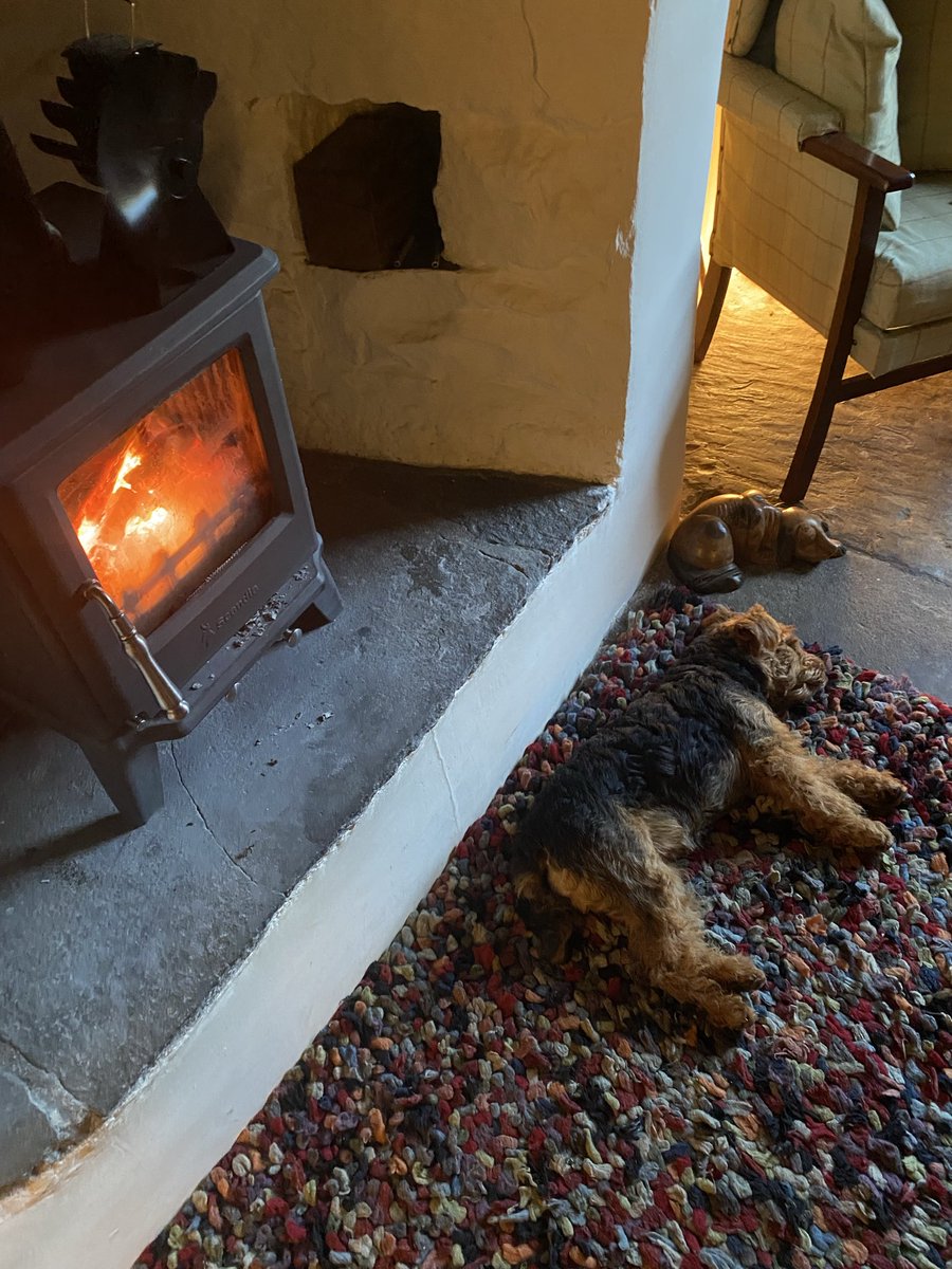 I’ve found my spot!