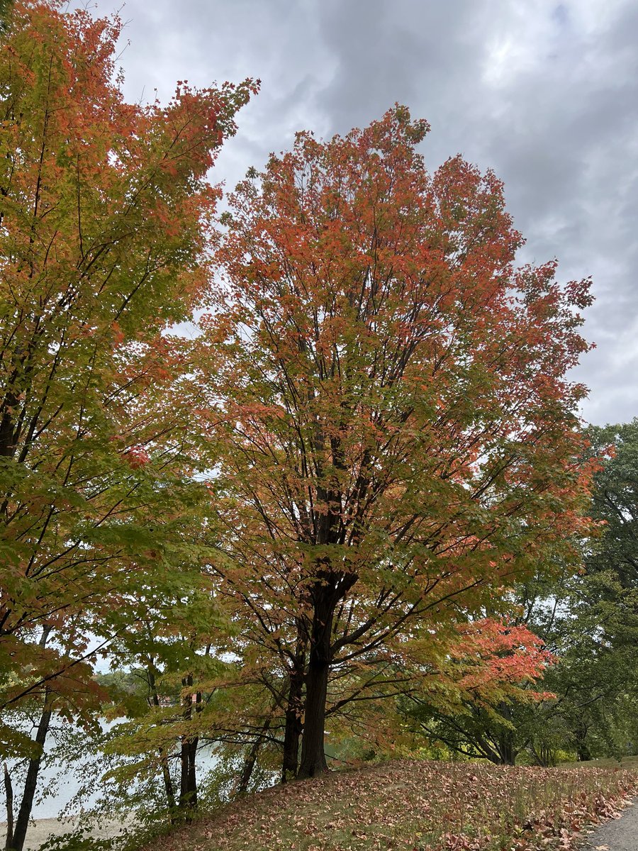 CSR4Development's tweet image. #Tweetmyview