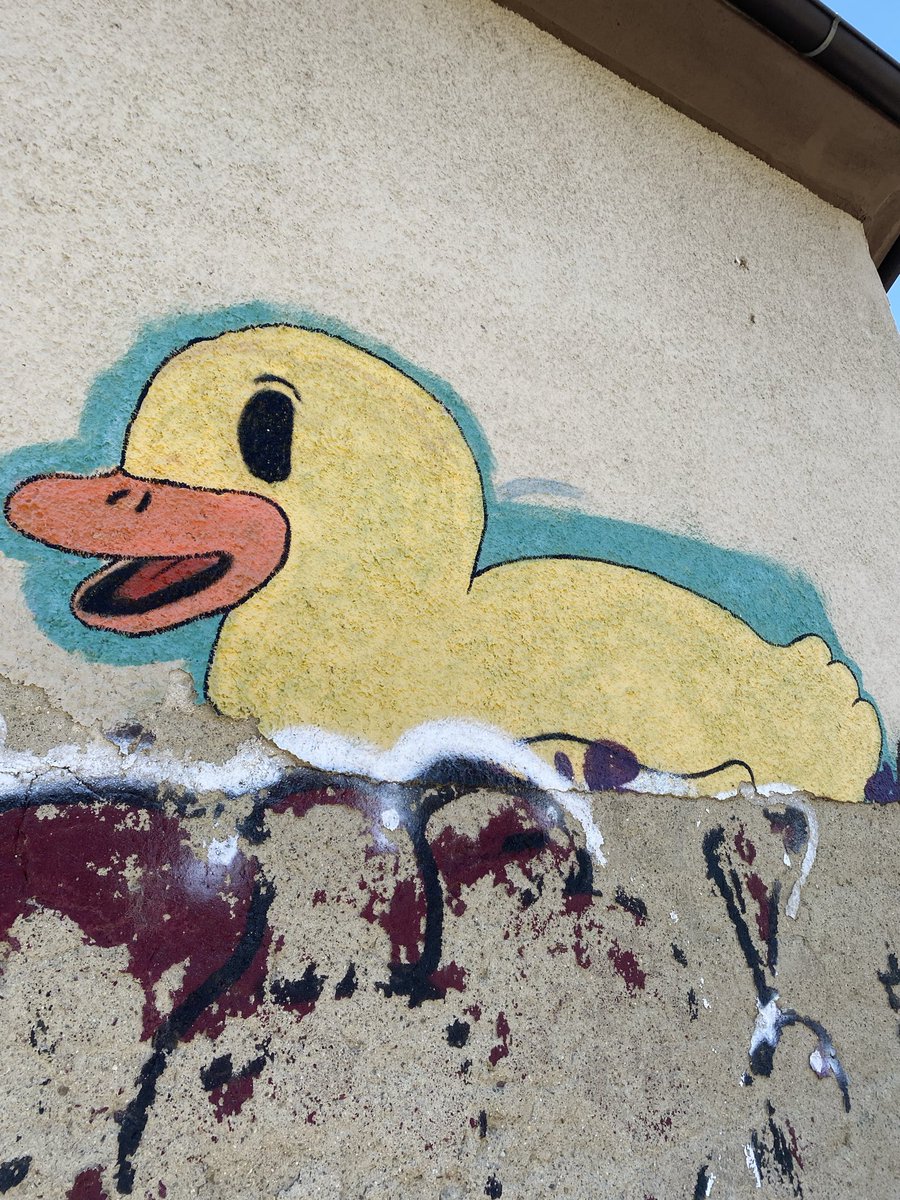 Sonia Zuccaro tweet media