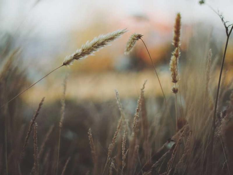 Ashish_1549's tweet image. 🧩 Random Post #NotFunny #JustRandom