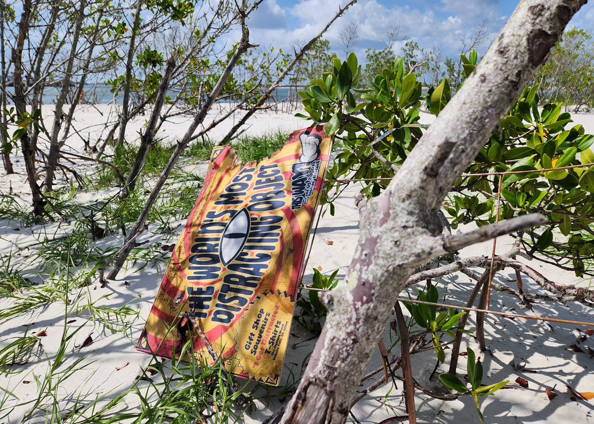 Florida Sea Watch tweet media