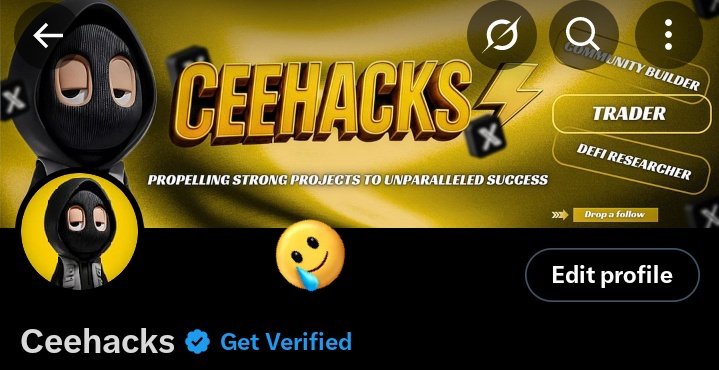 Ceehacks's tweet image. wtf is wrong with X
I have a lft to post, not today of all days
