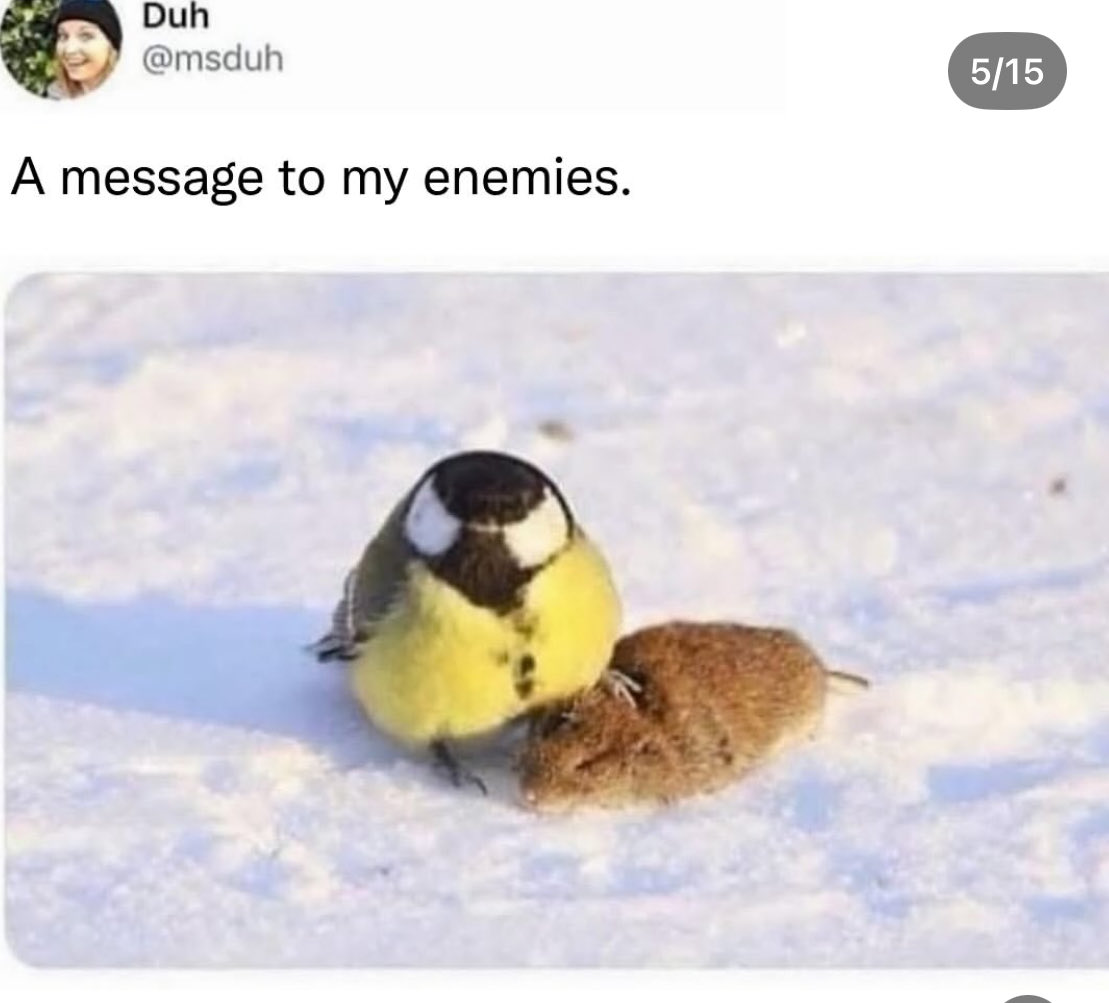 Tweet media one