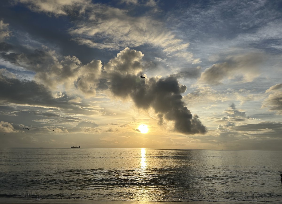 DaryaPopova's tweet photo. early mornings 🌊