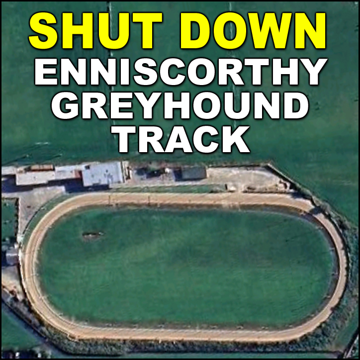 banbloodsports's tweet image. Dogs suffer and die at #Enniscorthy greyhound stadium. Over the past 11 years, 224 greyhounds suffered injuries there and 70 were killed
banbloodsports.wordpress.com/2019/03/19/gre…  Shut down Enniscorthy greyhound stadium