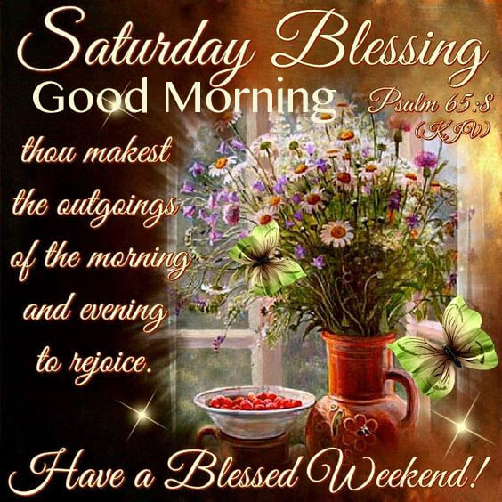 Dianna2645's tweet image. 🙏🕊️🌺🌺Blessings OGB to you &amp; yours.🌻☀️