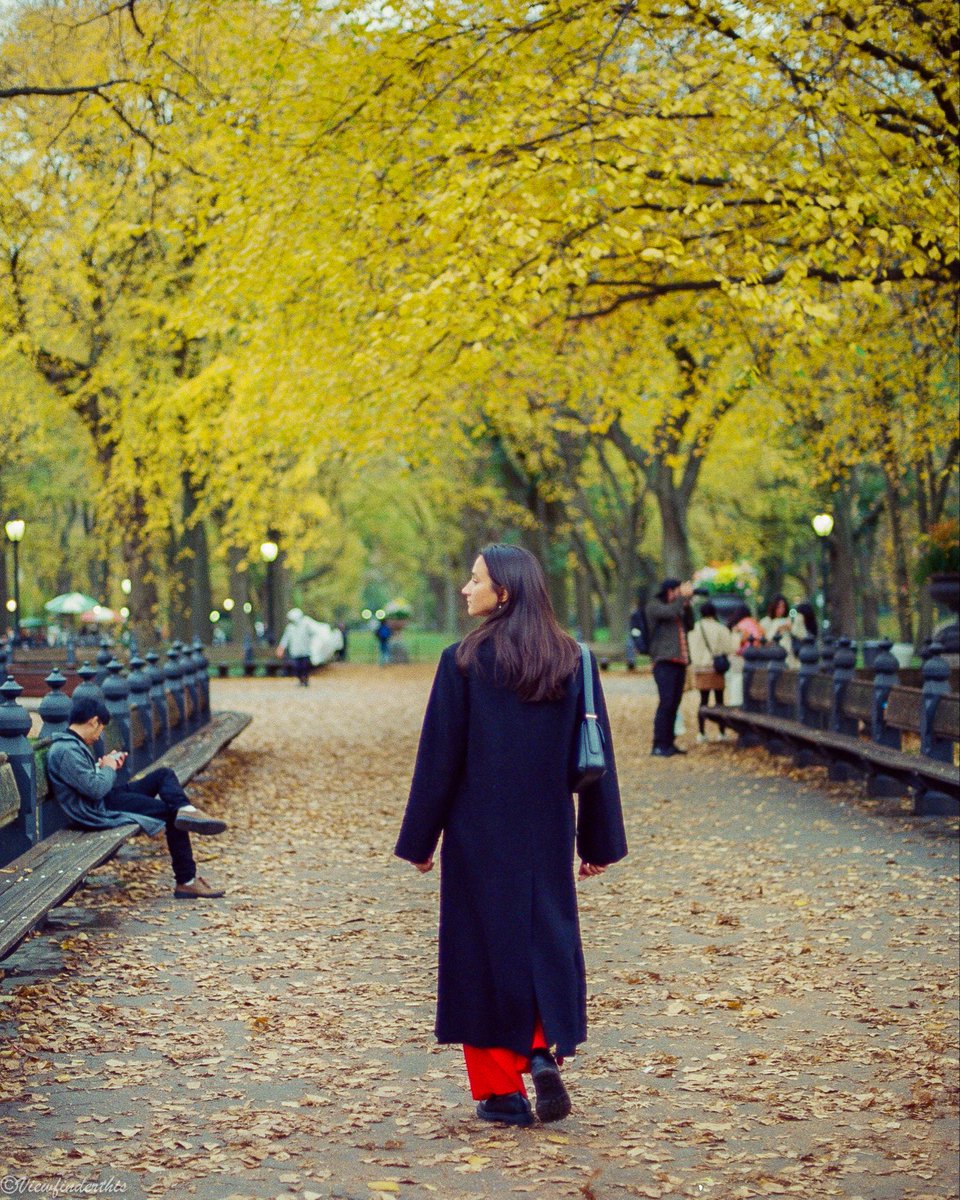 viewfinderthis's tweet image. NYC on 35mm Film