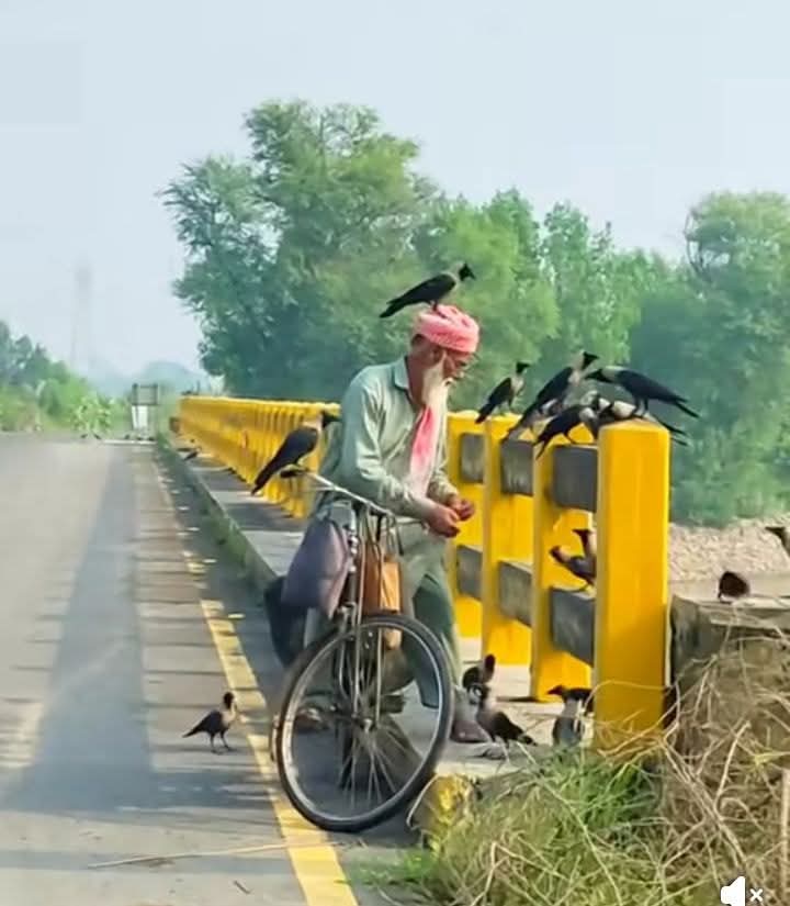 UrduVirsa's tweet image. محبت، دوستی ، ہمدردی، رہنمائی یا مدد یہاں کوئی ایسی نشانی ضرور چھوڑ جائیں جو یہ بتاتی رہے کہ اس راہ سے آپ گزرے تھے ♥️