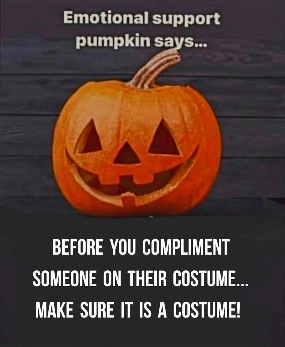 I look like this every day! 😂🤣🎃🧡