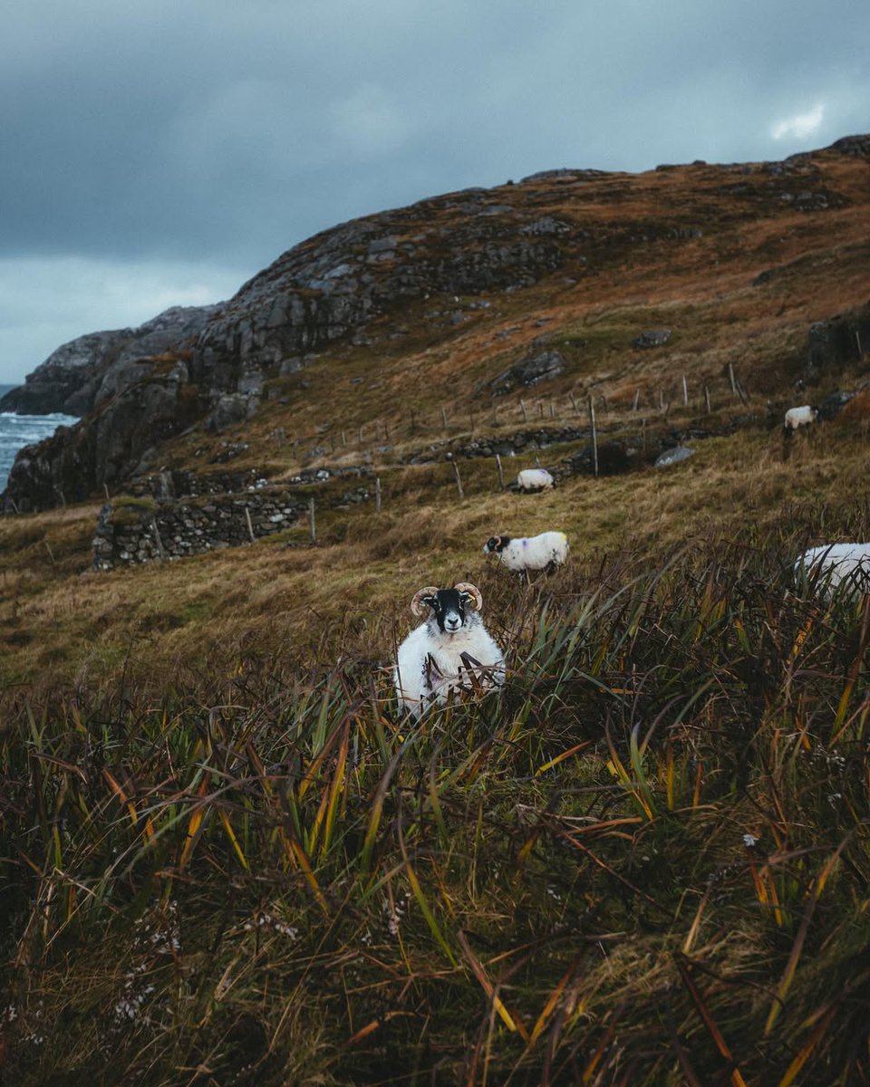 visualsofearth1's tweet image. Isle of Lewis, Scotland