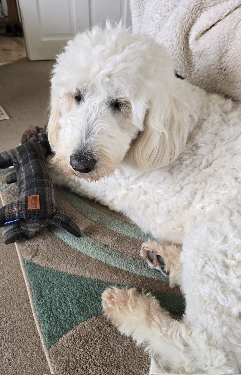 RubyLM4's tweet image. Two girls were sharing a pizza on the grass by the side of the pavement. When I walked towards them, they closed the box. 
They. Closed. The. Box.
I'm still trying to process that.