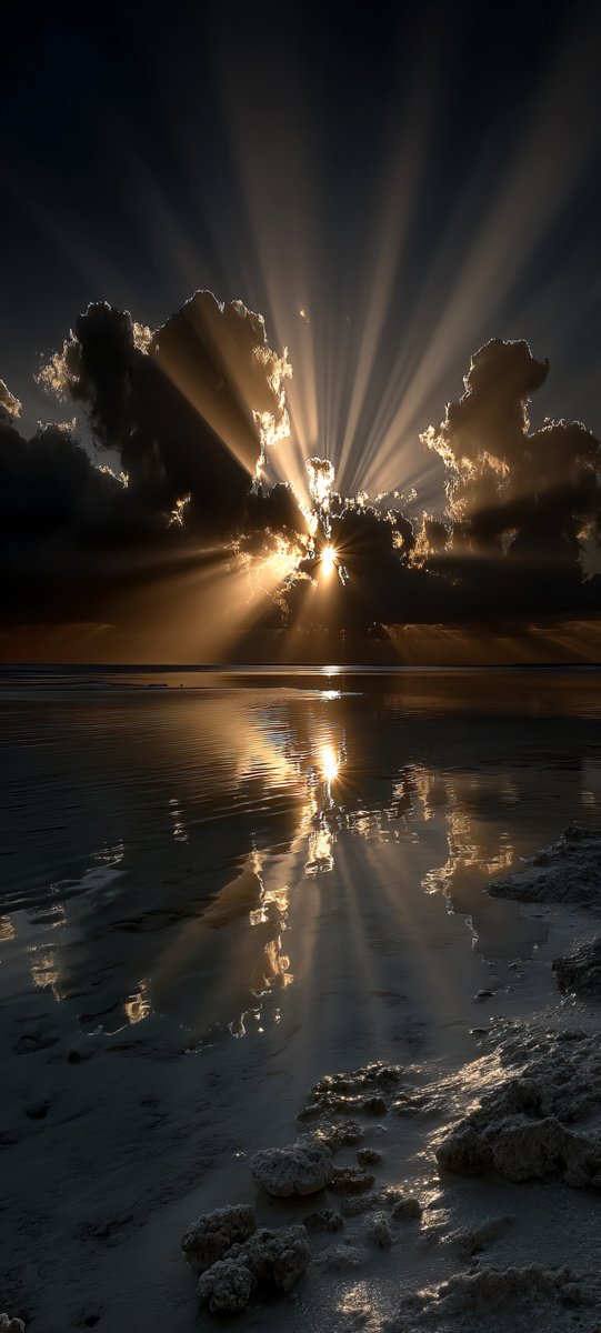 Halleyapps's tweet image. Crepuscular rays bursting through the clouds!