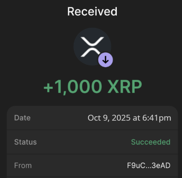 w1nklerr's tweet image. Who wants 1,000 $XRP?

All you need to do:

Like &amp;amp; RT
Must follow me

In 12 hours, I will choose 10 winners.
