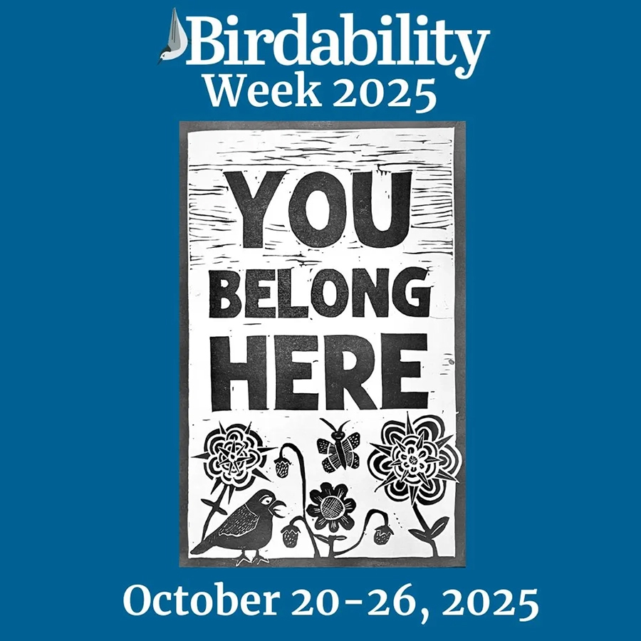 Birds Caribbean tweet media
