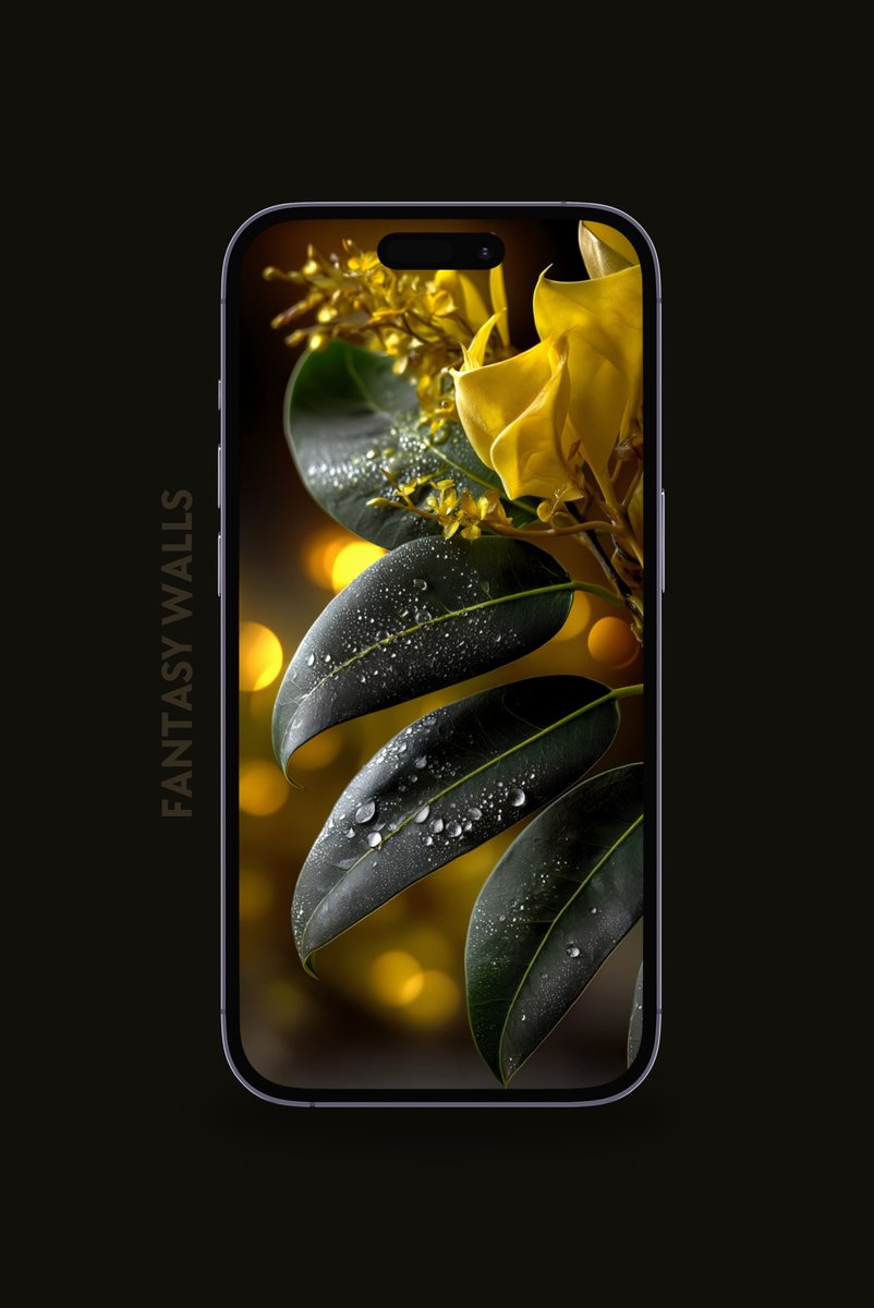 Halleyapps's tweet image. Contrast of deep green and the soft, vibrant yellow bokeh!