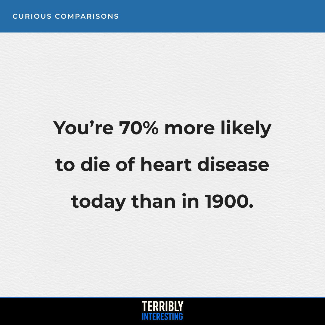Terribly Interesting (@terriblyhq) on Twitter photo 