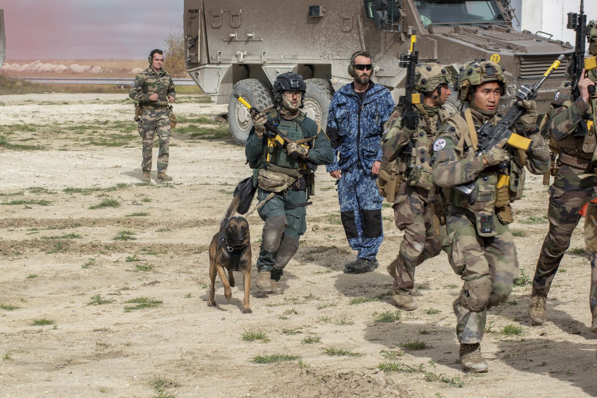 Armée française - Opérations militaires tweet media