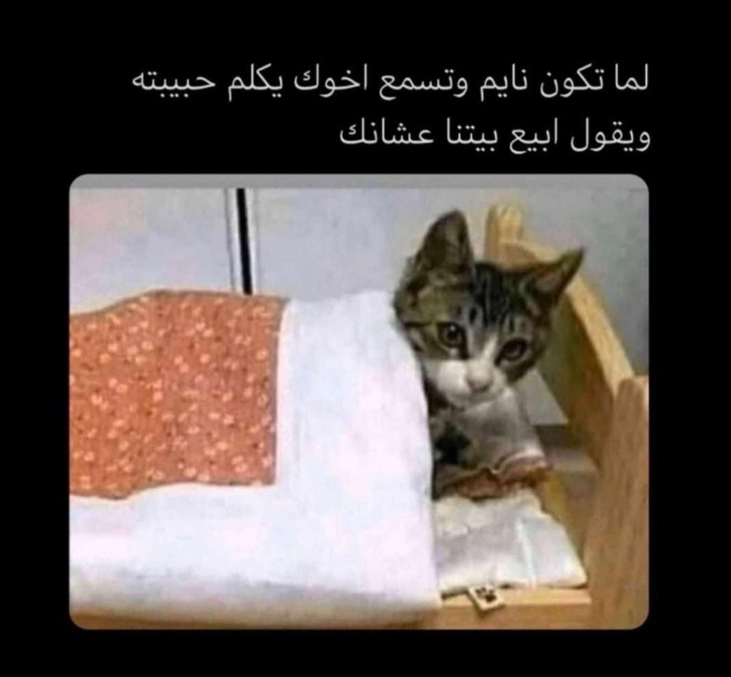 snafe20's tweet image. #شفط_وتعديل_الصدمات_بي6