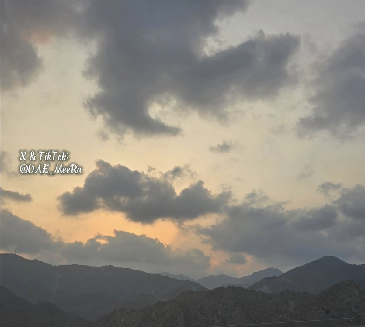 "محبةُ صِدقٍ لم تكن بِنتَ ساعةٍ
ولا وَرِيَـتْ حين ارتيــادٍ زِنادُهــا

ولكنْ على مَهْــلٍ سَـرَتْ وتولَّدَتْ
بطولِ امتزاجٍ فاستقـرَّ عِمادُهـــا

فلم يَدْنُ منها عزمُـها وانتقاضُها
ولم ينْــأَ عنها مُكْثُـها وازديادُهـا

يؤكِّـــدُ ذا أنَّا نـــــرى كل نَشـــأةٍ
تَتِمُّ سريعًا