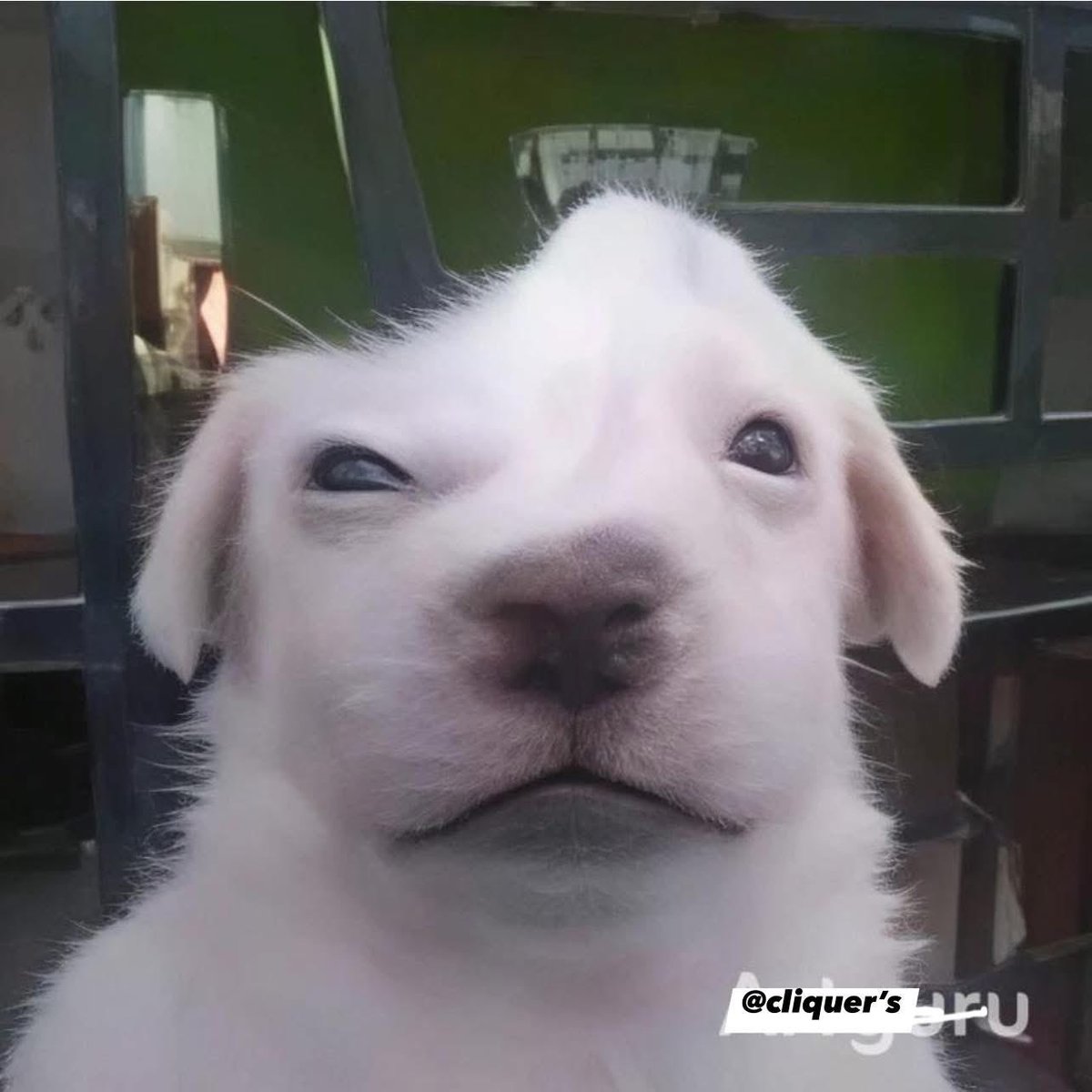 Memes por el Día del Padre: las mejores imágenes para reírse con papá -  Infobae, image size:1200x1200