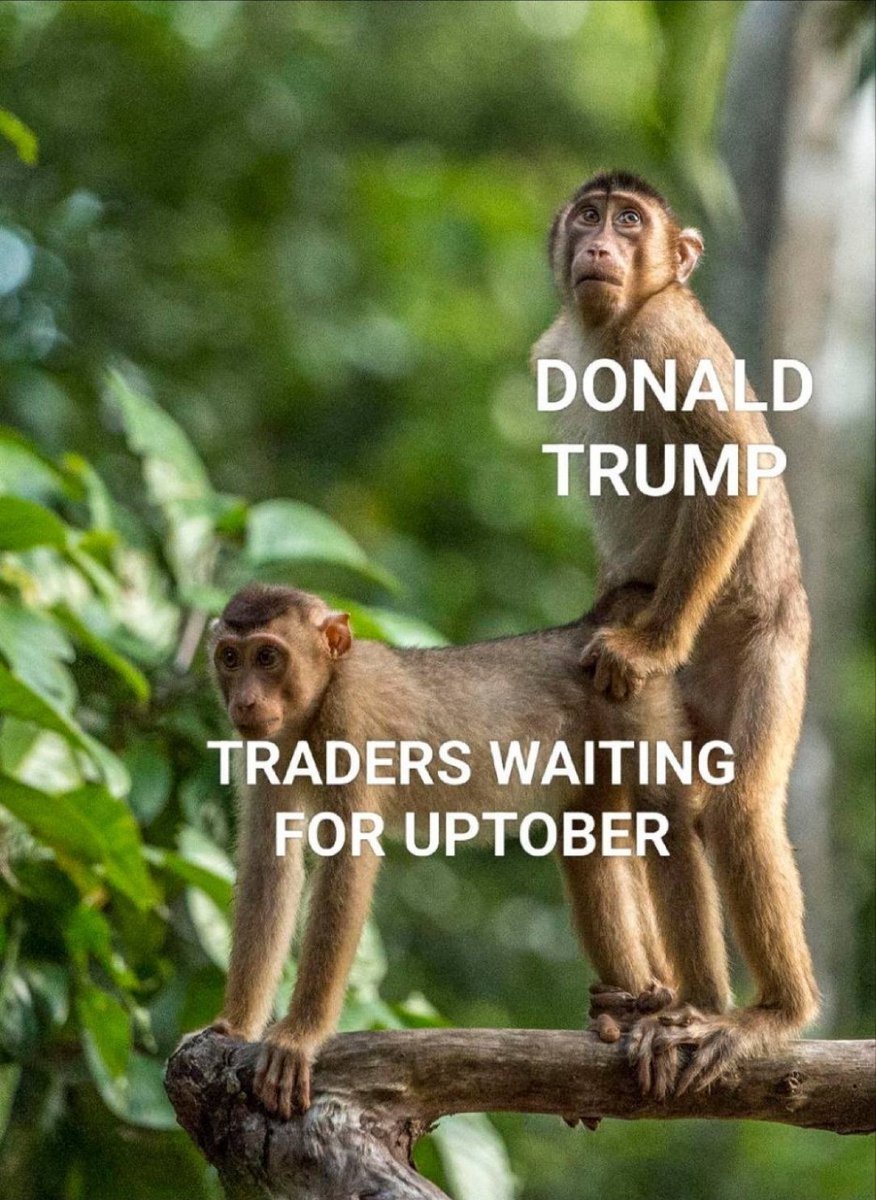 Shout out to <a href="/POTUS/">President Donald J. Trump</a>