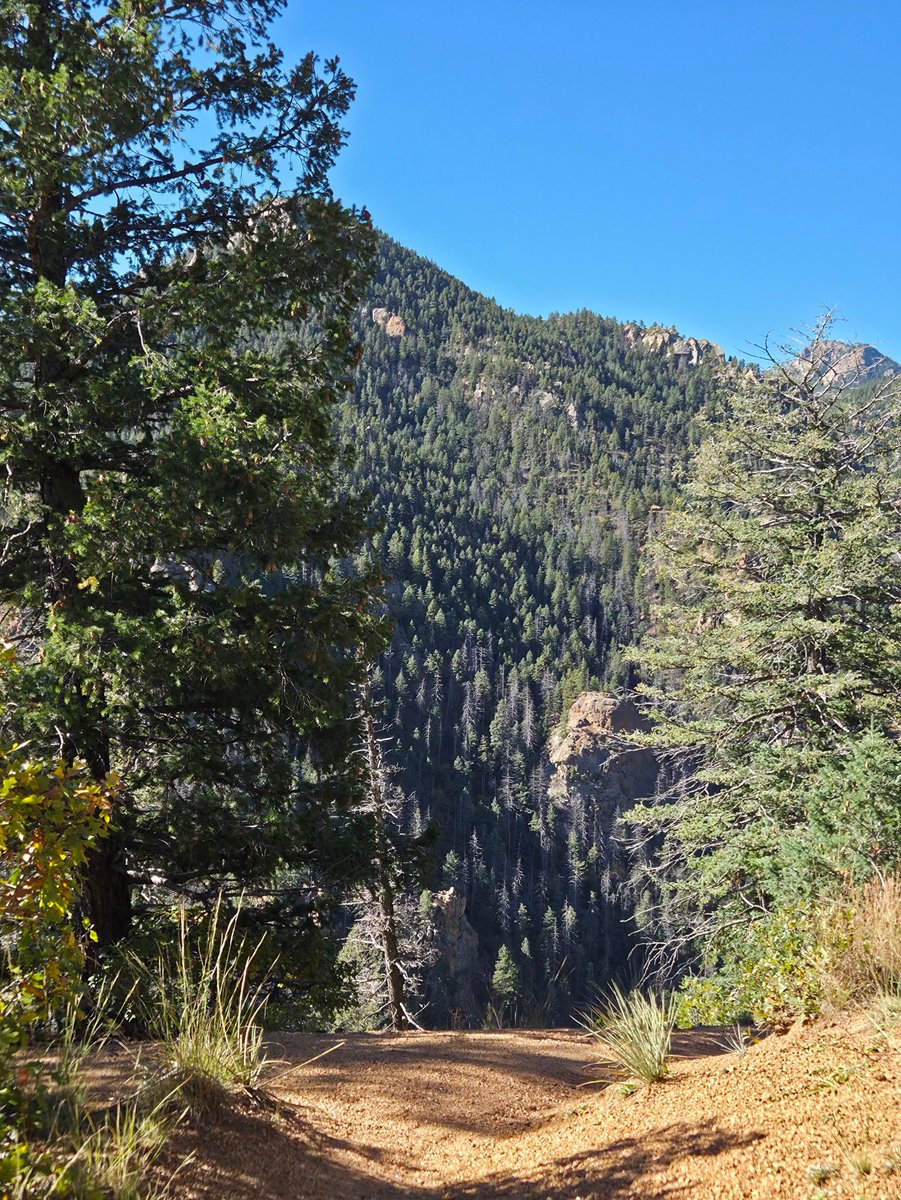 ViewFromTrails's tweet photo. A View from the Mountain Trail...๐ฒ๐ฃ๐ฒ
#โค๏ธโฎ๏ธ๐๐ฃโ๏ธ
#TrailRunning โค๏ธ๐ฃโค๏ธ
#Mountains โ๏ธ๐โ๏ธ
#Colorado ๐ฒ๐บ๐ฒ
#PeaceOut ๐โ๏ธ๐
As Always...HugTrees โฎ๏ธ๐ฒโฎ๏ธ https://t.co/AK13liZ4yM