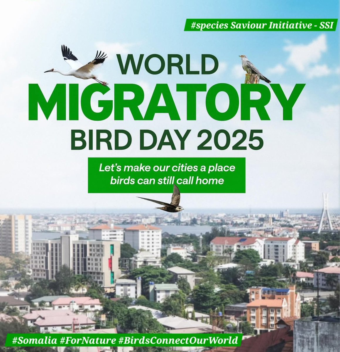 speciessaviour's tweet photo. Somalia is a key gateway along the Asian–East African Flyway, where countless migratory birds—from Amur Falcons to shorebirds—cross its skies, resting in its forests, grasslands, and coasts. 🕊️🌍
#WorldMigratoryBirdDay #SpeciesSaviour #Somalia #Conservation #BirdsConnectOurWorld https://t.co/Jm3AJ21BB4
