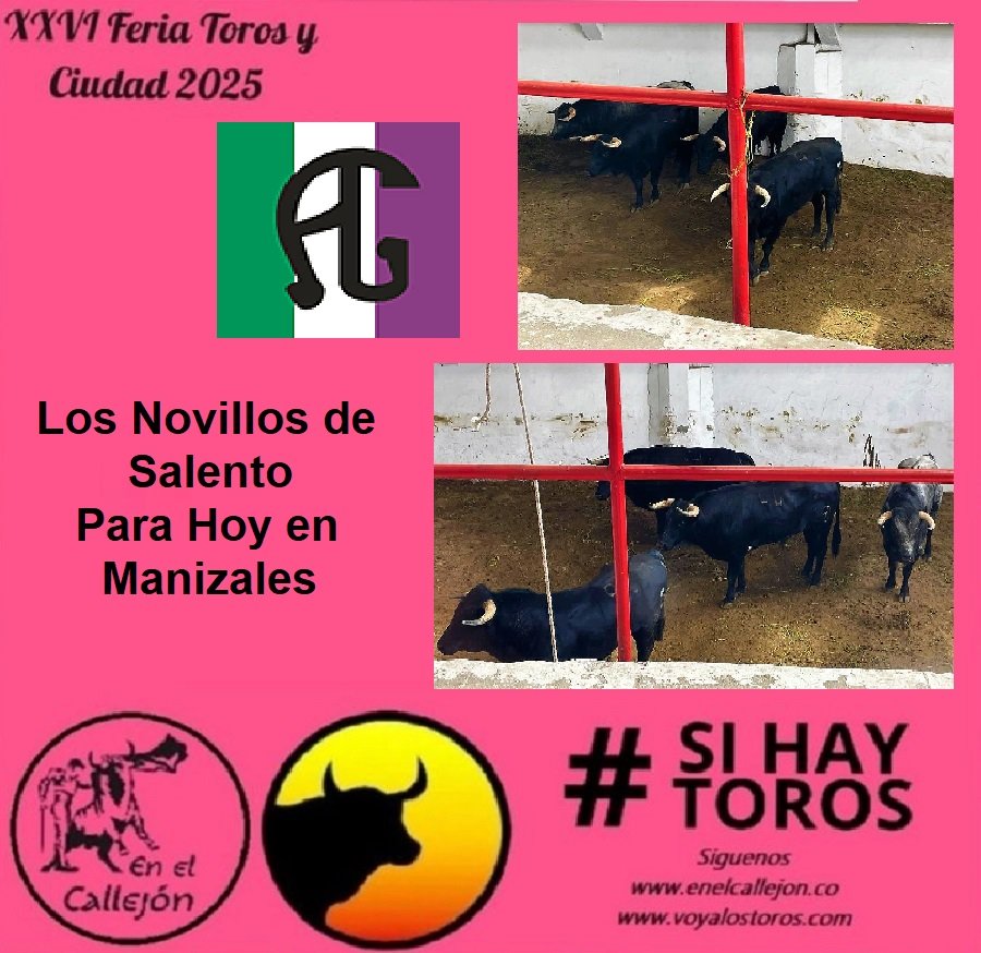 enelcallejon's tweet photo. Manizales (Col): Los Novillos de Salento para HOY, ante ellos: J. Páez, E. Contreras, D. Sánchez, F. Velásquez, D. Montes #SiMasOle @JCGMun @ToroVive @tauroemocionco @cormanizales @SantamariaToros @VentasSanto @LuLlanosMx @portaltaurino @tendido7co @Desde_ElTendido @cultorocom https://t.co/isVsCFXJH4