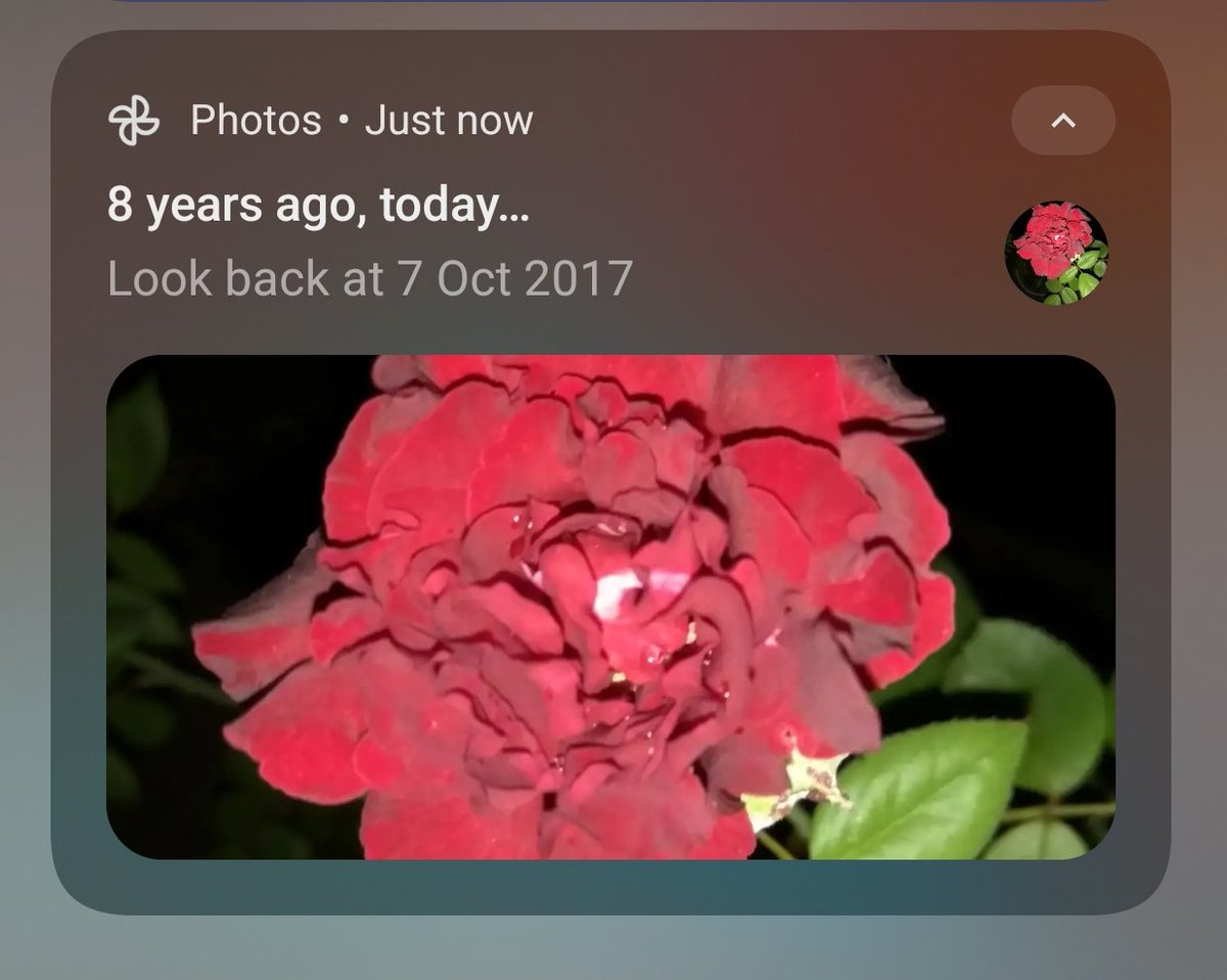 Nitesh805181's tweet image. Whenever I try to &quot;move on&quot; in life, that one BKL app at 2AM 🙂