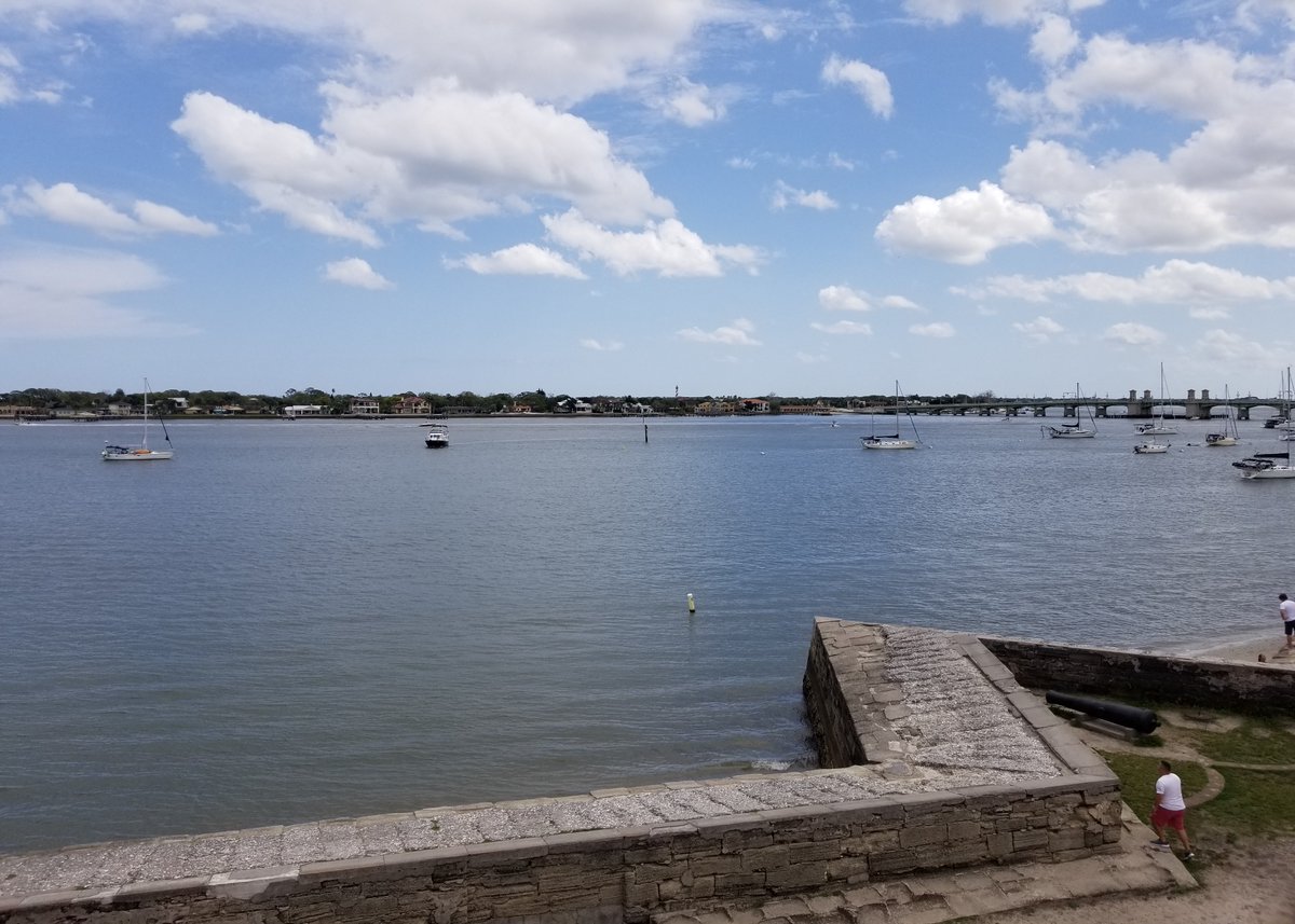 Florida Sea Watch tweet media