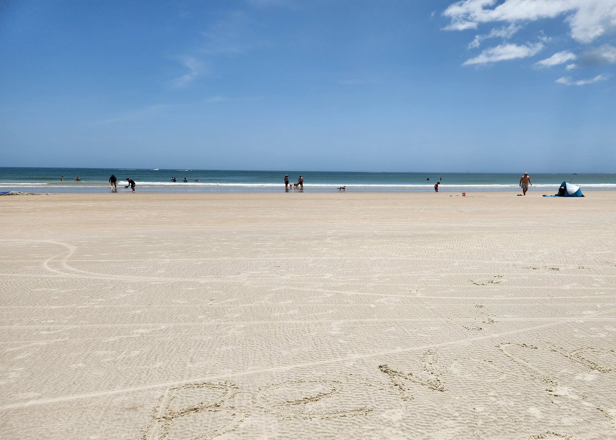 Florida Sea Watch tweet media