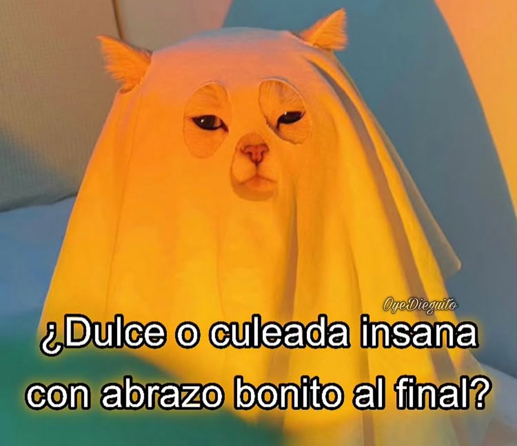 Les traigo una propuesta