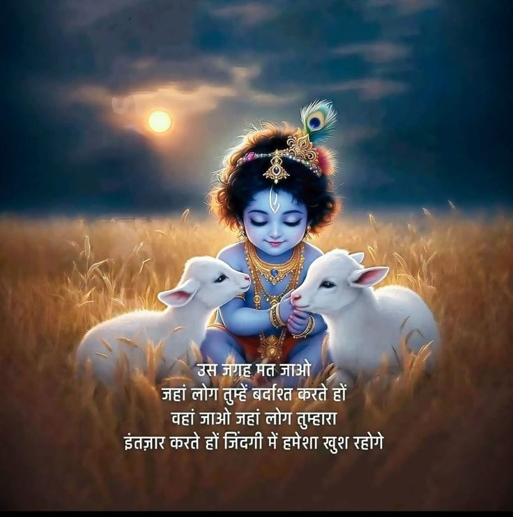 aaravji347's tweet image. शुभ रात्री..
राधे राधे 🙏🚩