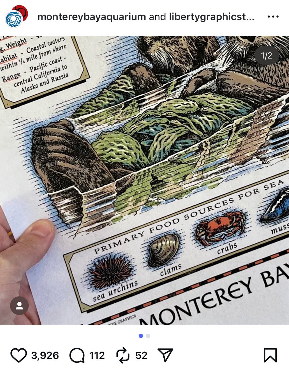 theswiftedit's tweet image. Taylor stuns in a vintage otter shirt in the Release Party of a Showgirl (October 3, 2025)

Monterey Bay Aquarium x Liberty Graphic Tees ‘Otter Shirt’ ($65.13 donation) 

@MontereyAq is bringing the shirt back as a FUNDRAISER for donors to the aquarium! We will post the link as…