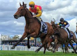 What a great day for the team yesterday! 🖤

Inhabit — winning the 2YO feature on debut for the Girls (Cross Park Pink 🩷) with <a href="/mhbloodstock/">Michael Hickmott</a> — an incredibly promising filly with a bright future.

And what a run by Moonlight Circus 🌙🎪 — rated only 69 and still lightly raced,