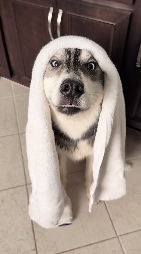 Lawsonsbryan's tweet photo. He’s so mean when it comes to bath https://t.co/Jb9tP5NCeN