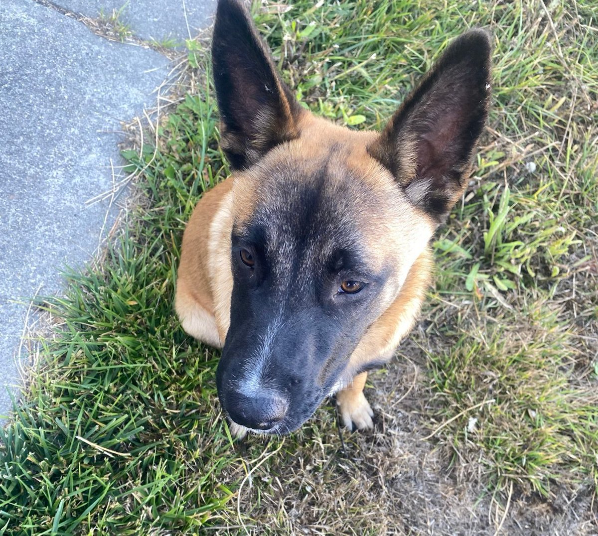 Axel Vasa tweet media