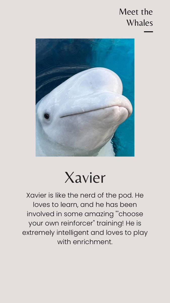 @UrgentSeas tweet media