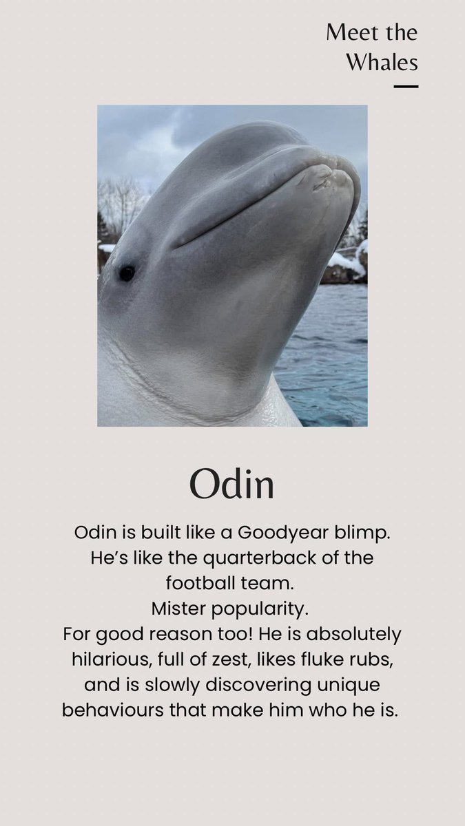 @UrgentSeas tweet media