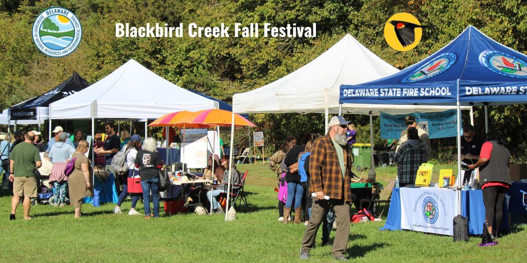 Mark your calendar for the 2025 Blackbird Creek Fall Festival Saturday, Oct. 18, from 10 a.m. to 4 p.m. There is no charge for admission into the festival, which includes information booths, displays, tractor-pulled hayrides, kid-focused crafts, food vendors and local artisans.