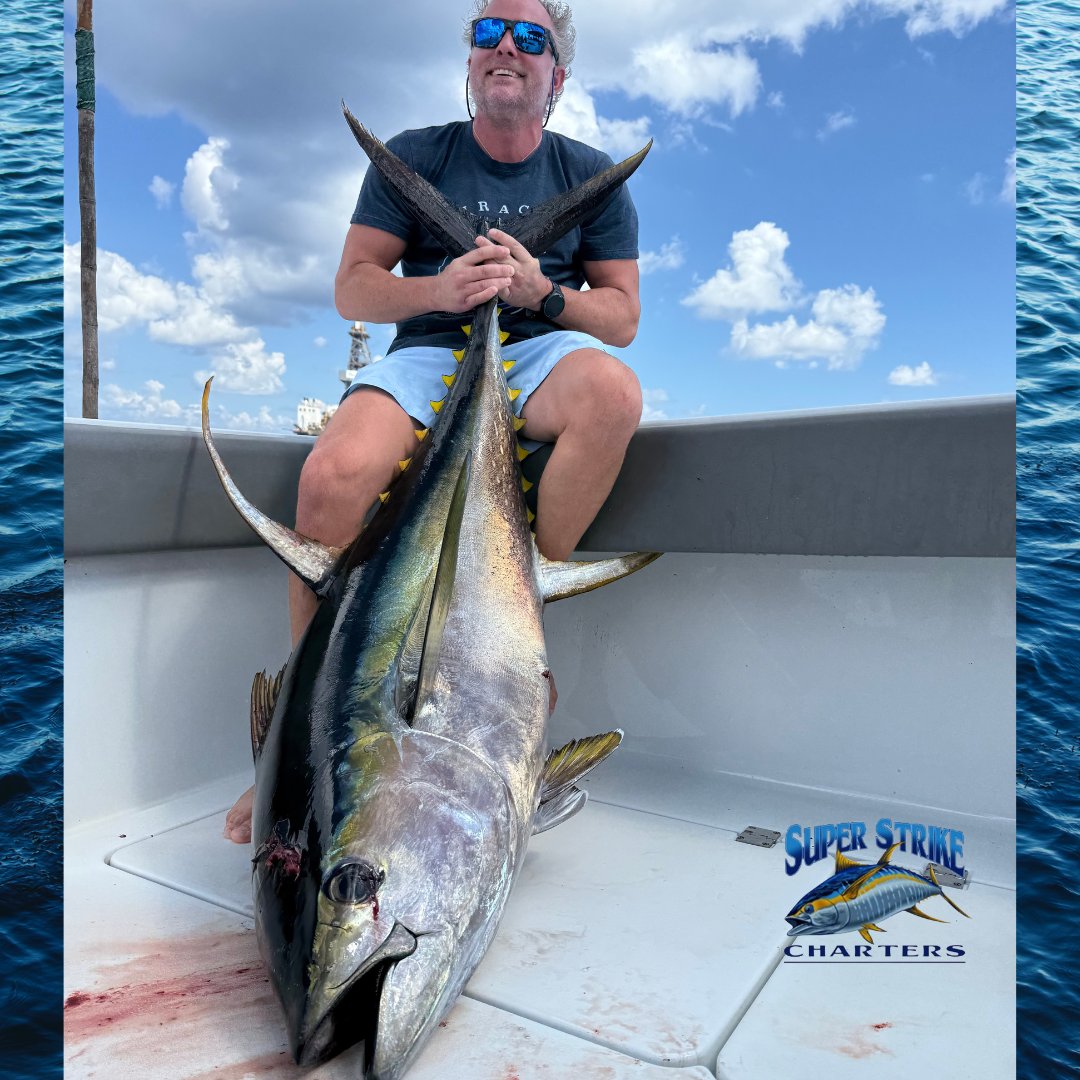 DPMSSC's tweet photo. π£ The Tonsberg crew & Captain Willy B crushed it offshore β 4 big yellowfin tuna, including a 119-lb giant! πͺππ₯
π https://t.co/1t8piYF8UU | π 985-960-1709
#SuperStrikeCharters #VeniceLA #YellowfinTuna #OffshoreFishing #CaptainWillyB #LouisianaFishing #TunaTime https://t.co/KgNnUMGnA0