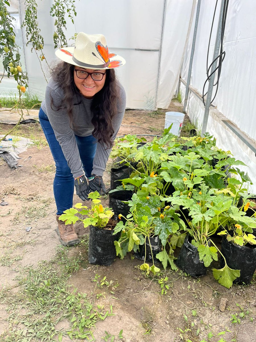 Universidad de América tweet media