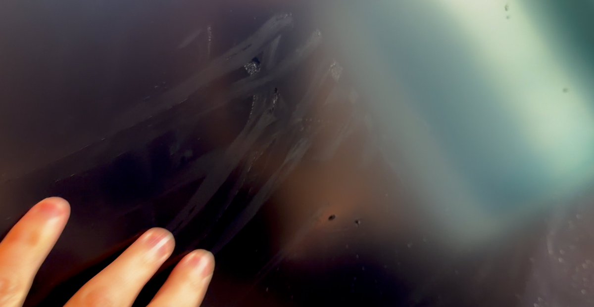 noixdecitron tweet media