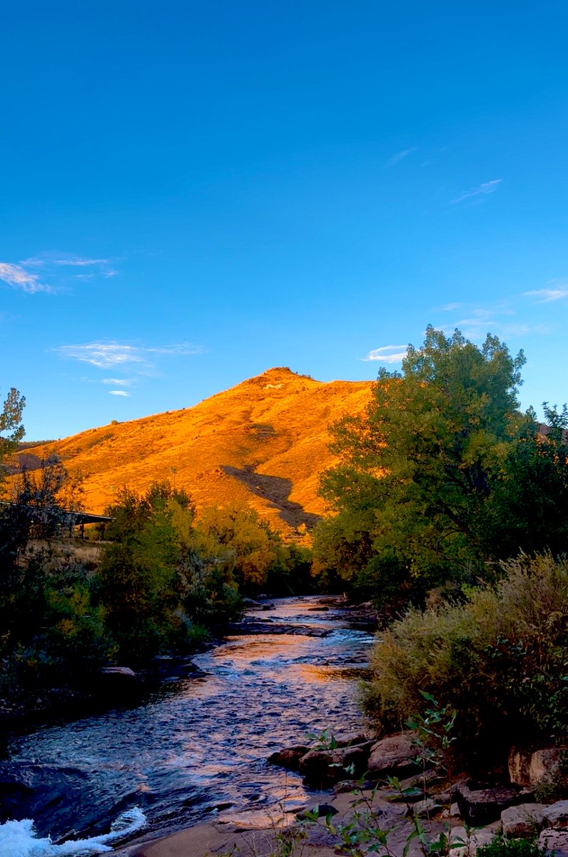 CoachYonBoone's tweet image. Nothing like gameday in Golden!!!! #HelluvaEngineer⚒️🏔️