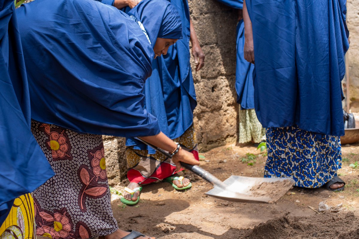 From hands-on nursery training to nurturing 400+ moringa seedlings in Miri &amp; Badel, women, growing more than trees, but growing change.

Skills to boost food, health &amp; income thanks to the #EWoMoPP project funded by the <a href="/FranceInNigeria/">Ambassade de France au Nigéria</a> with support from @BASEPA <a href="/BSADP/">سعود</a>

#FEFOSC