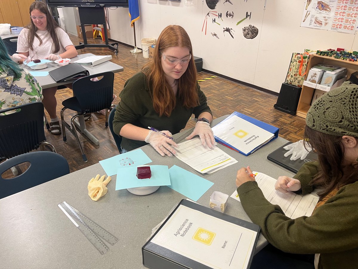 We spent several days in Agriscience learning how to precisely and accurately measure by building a paper box, putting Jello in it, then measuring the density of the Jello!