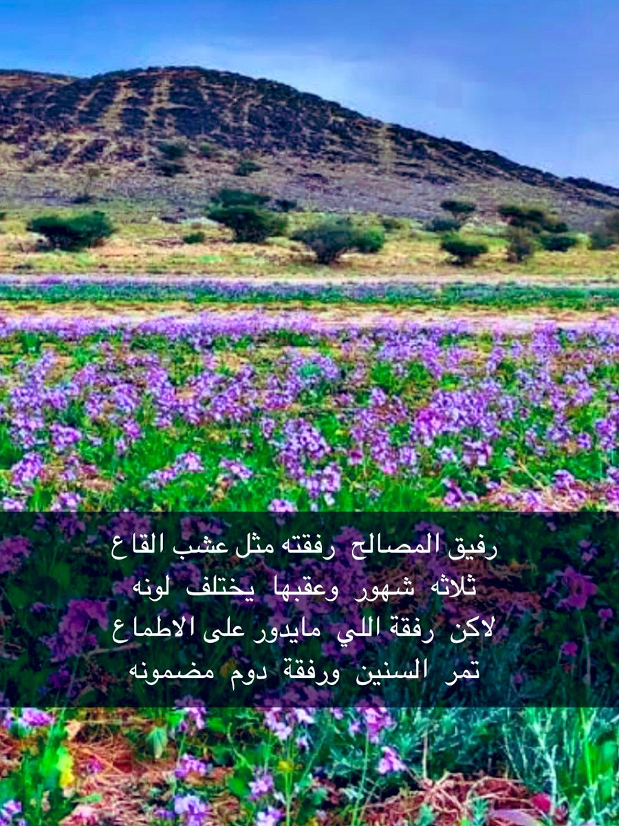 nayef44552's tweet photo. https://t.co/aI6lN3OlFj