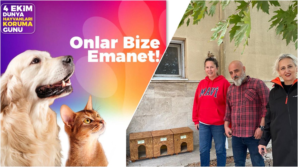 4 Ekim hayvan hakları için empati günü. Biz çevreci ekopanel malzemeyle kulübe yapmaya giriştik, Vahit Tuna Anadolu lisesi kedilerini yuvalandırdık bugün. İnstagram adresimiz <a href="/homeco/">colyn hutton</a>.17 takibe gelin