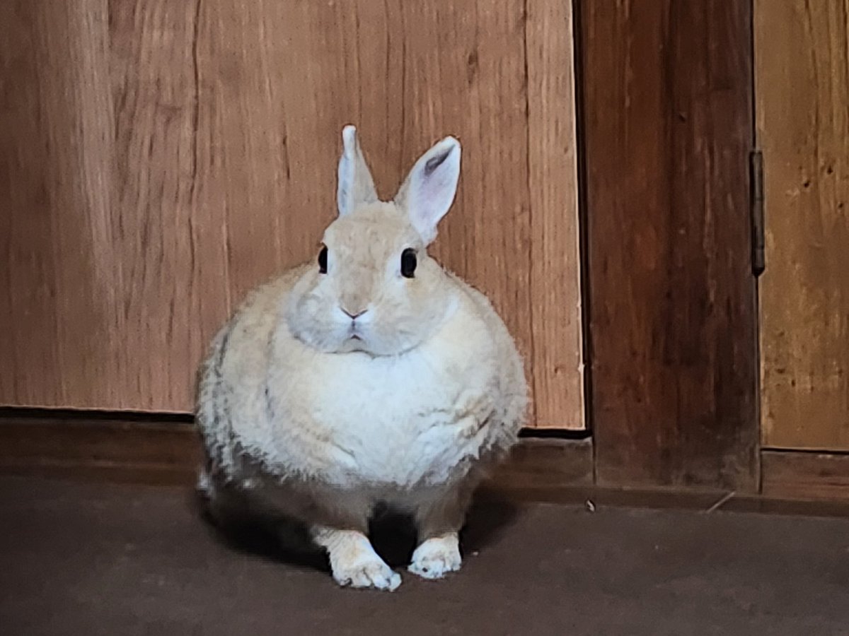 さっきゅんちゃん RIKI ギャラリー